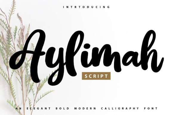 Aylimah: Bold Script Font for Campaigns
