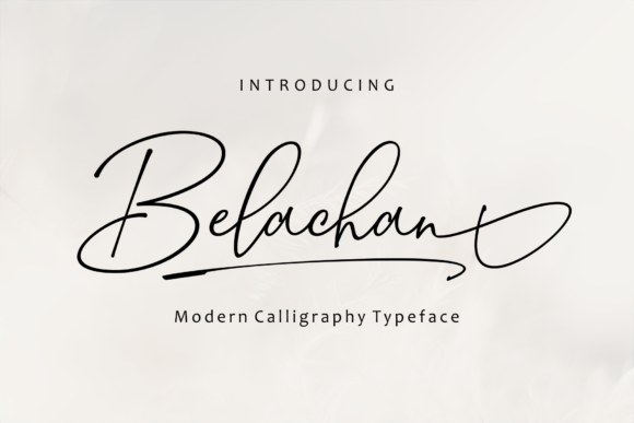 Belachan: The Script Font That Elevates Brand Identity