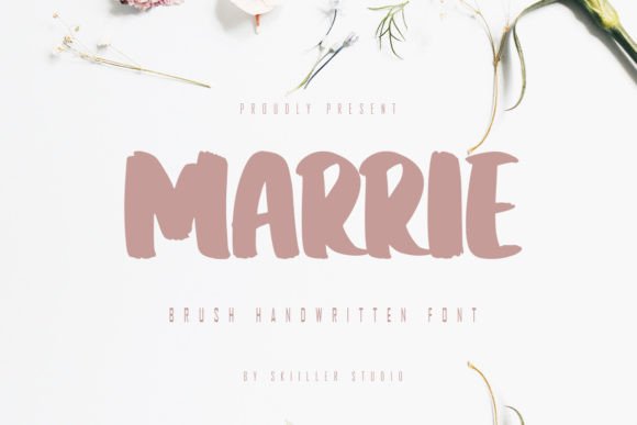 Marrie Font Review: A Bold Script for Modern Design