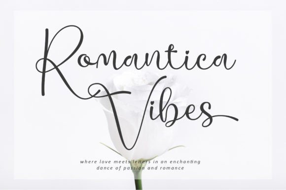 Romantica Vibes Font for Elegant Campaigns