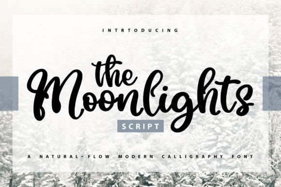 The Moonlights: A Modern Script Font for Digital Campaigns