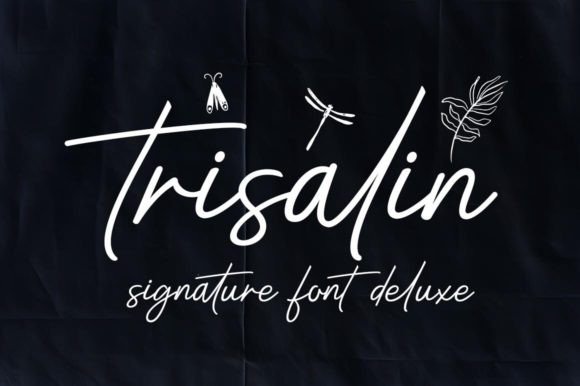 Trisalin Font Review for Makers and Branding